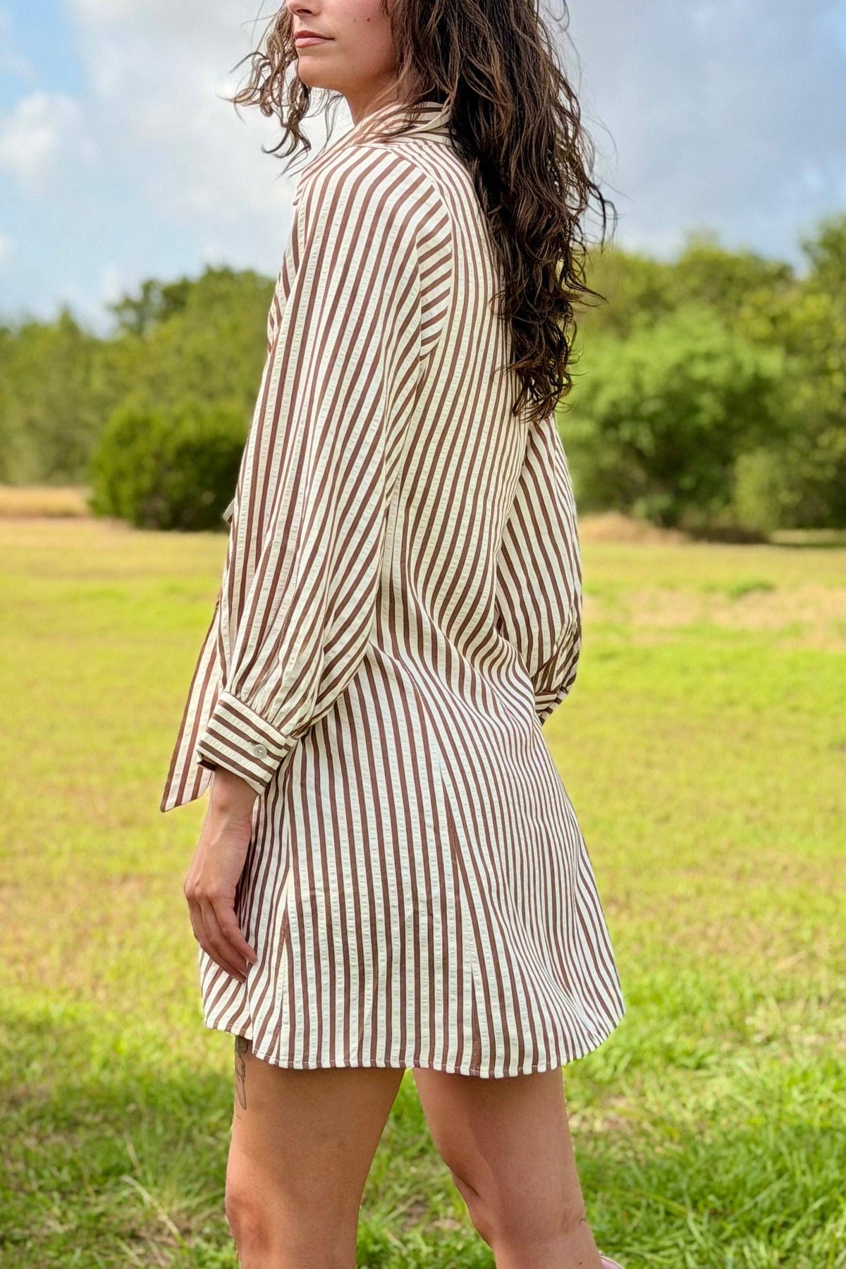 Loretta Striped Button Down Dress