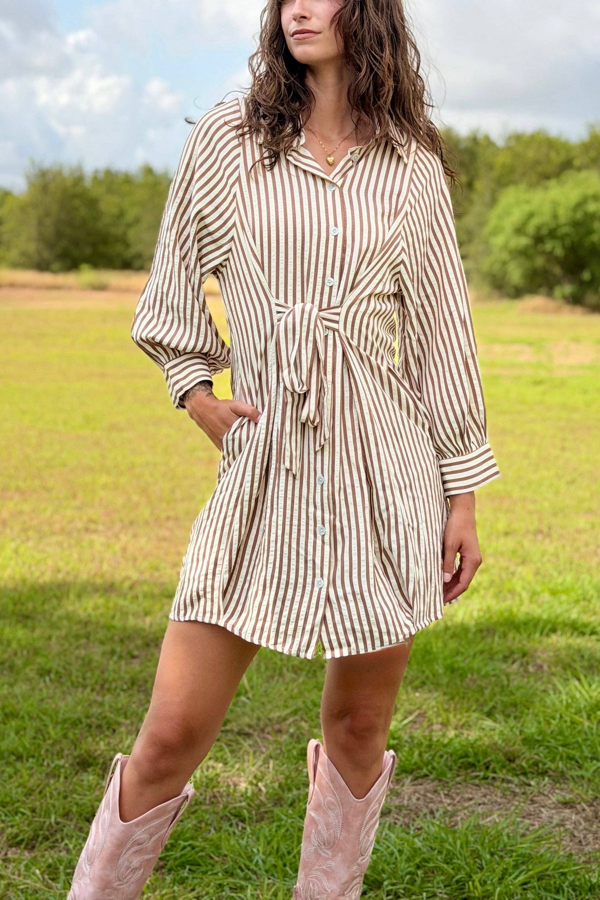 Loretta Striped Button Down Dress